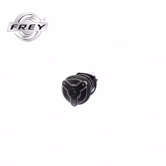 Amortisseur de système de Suspension de pièces automobiles Frey de haute qualité complet pour Mercedes Benz W204 OE 2043232600