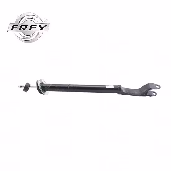 SENP pièces de voiture amortisseur pièces de rechange automobiles en gros amortisseur de jambe de suspension pneumatique pièces automobiles Audi VW BMW Mercedes Porsche