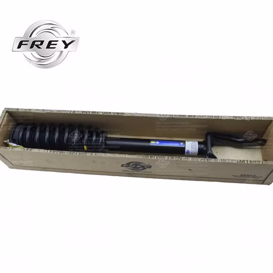 Assemblage d'amortisseur avant droit de pièces d'auto Frey de haute qualité complet pour Mercedes Benz W166 OEM 1663230200