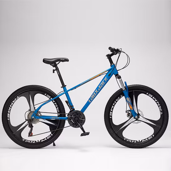 Ebike Fat Tire Shock Absober 1500W BMX VTT VTT